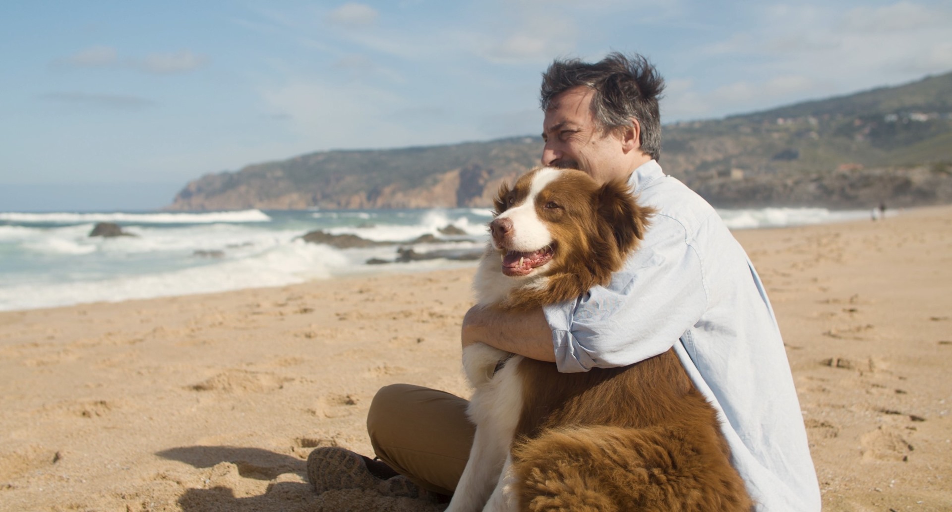 dog+ocean