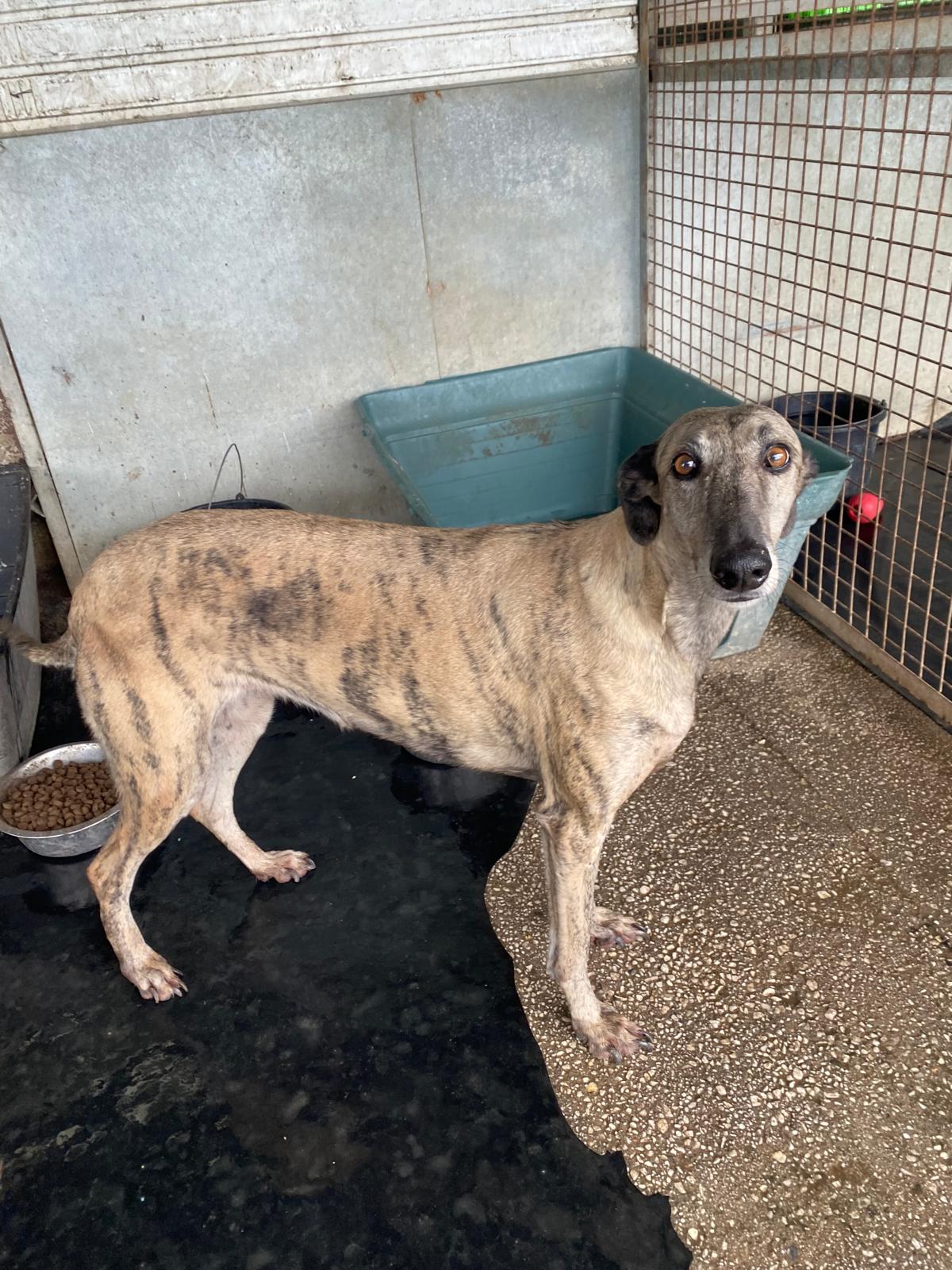 5f7fee78-be87-41fb-9af8-9b79e6e77fe8