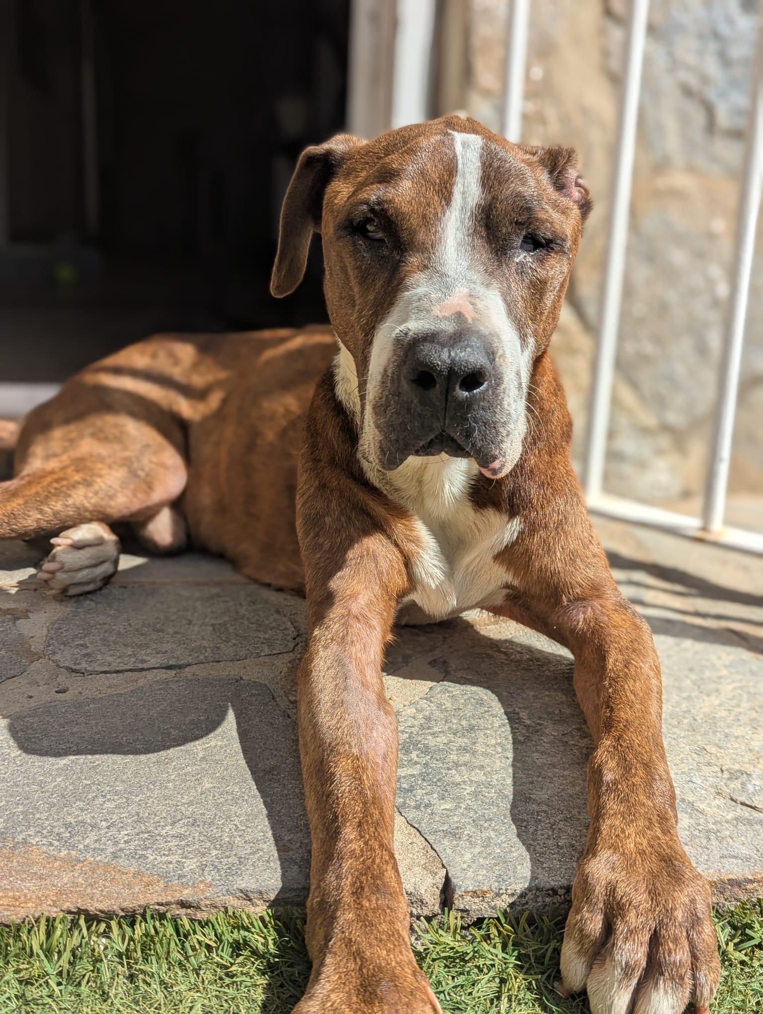 5fd620fa-2f06-4262-a4d8-73f0c66d3573