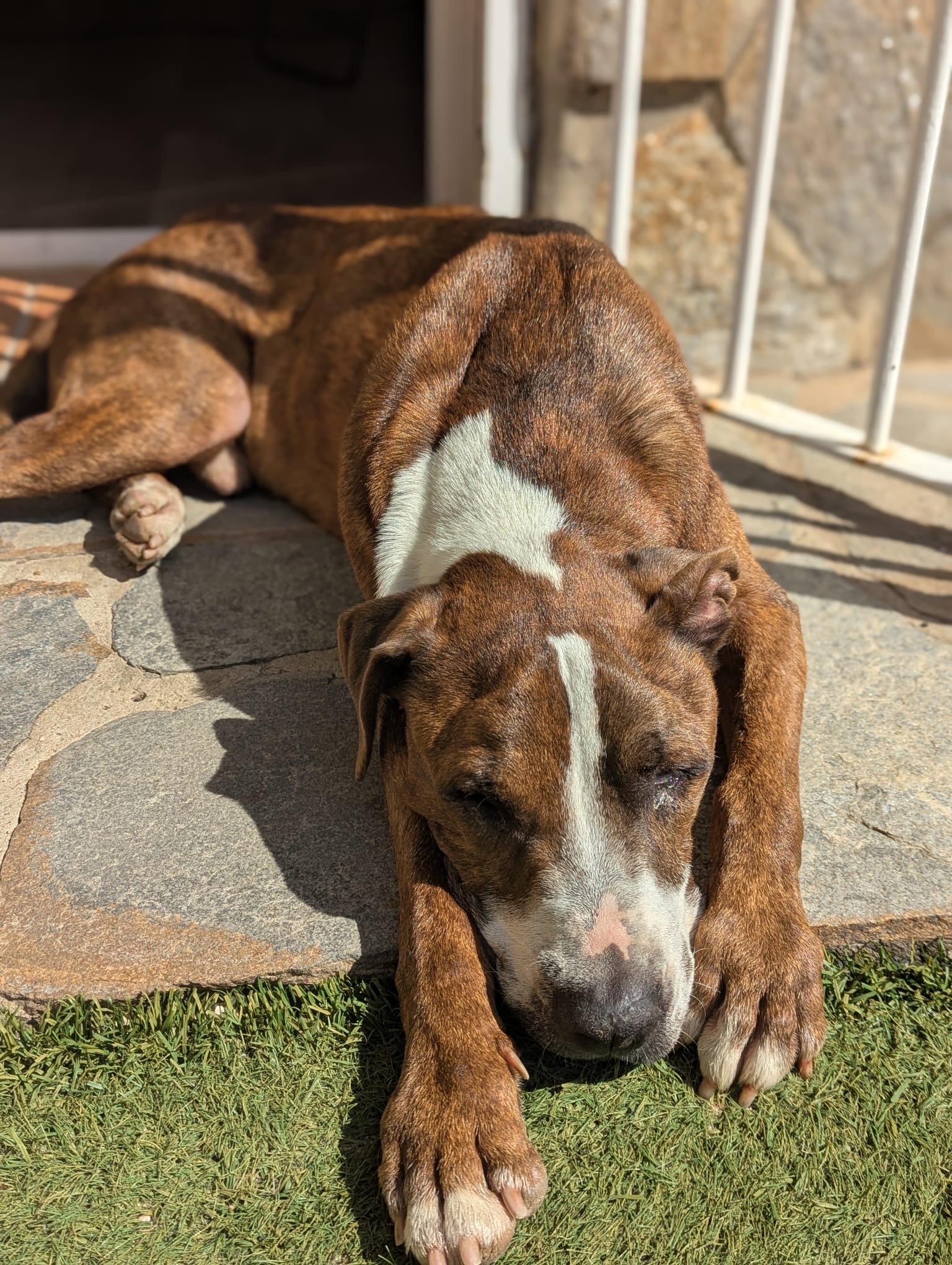 6e193014-2ab2-45c4-a175-906620ee16d0