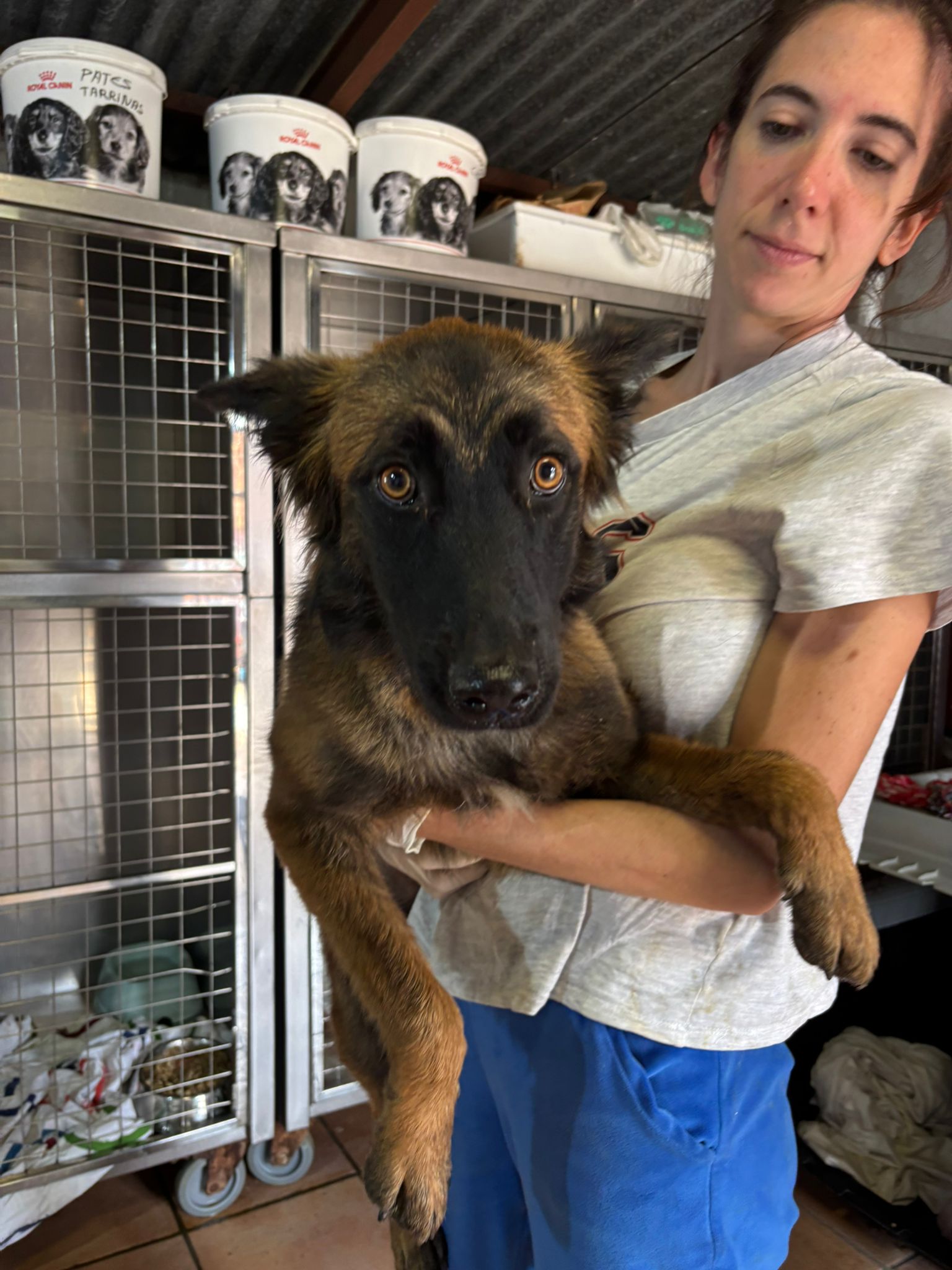 81a096c1-30e0-43ad-b8b5-867ee60ce490 (1)