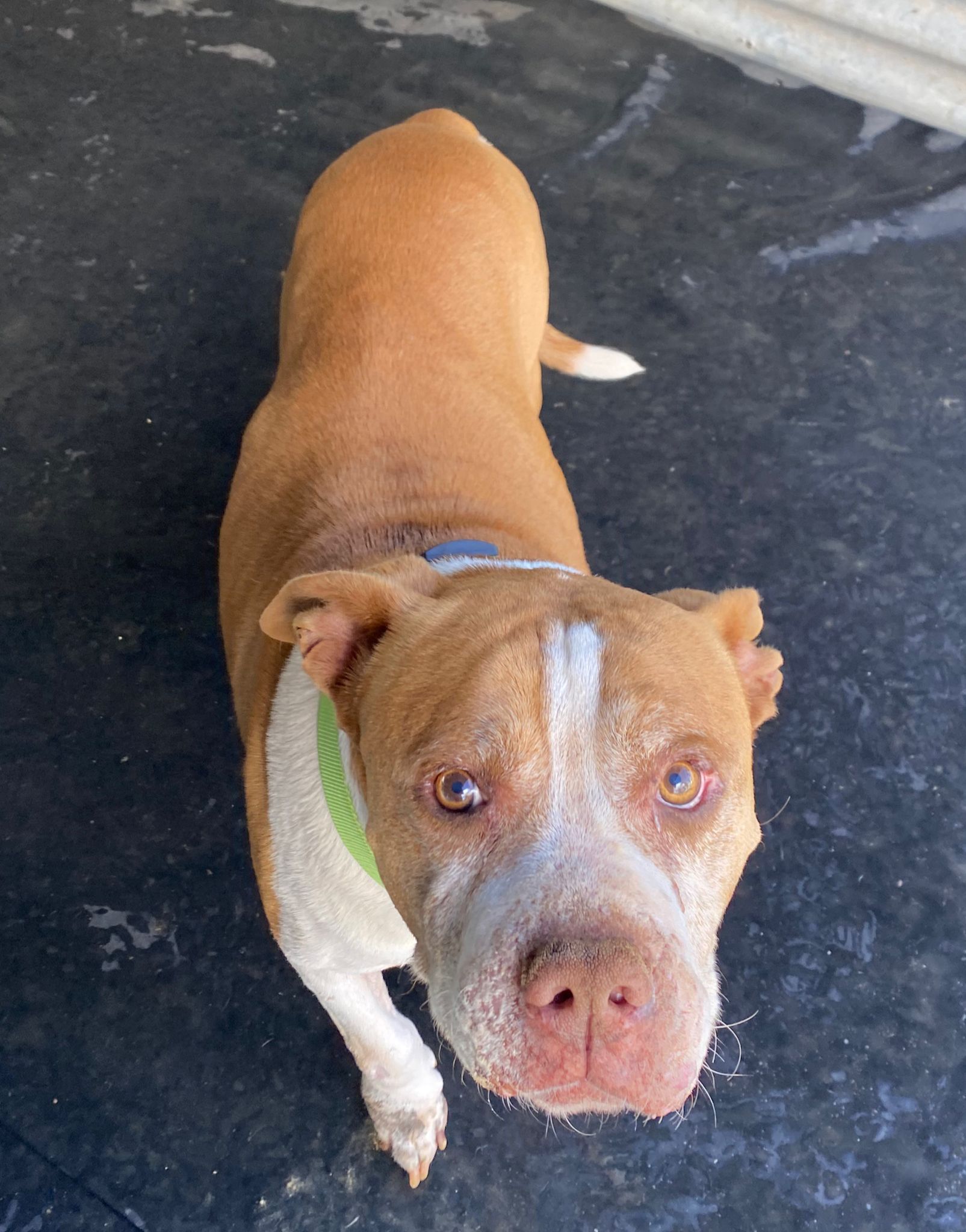 PHOTO-2025-11-19-12-19-39 (1)