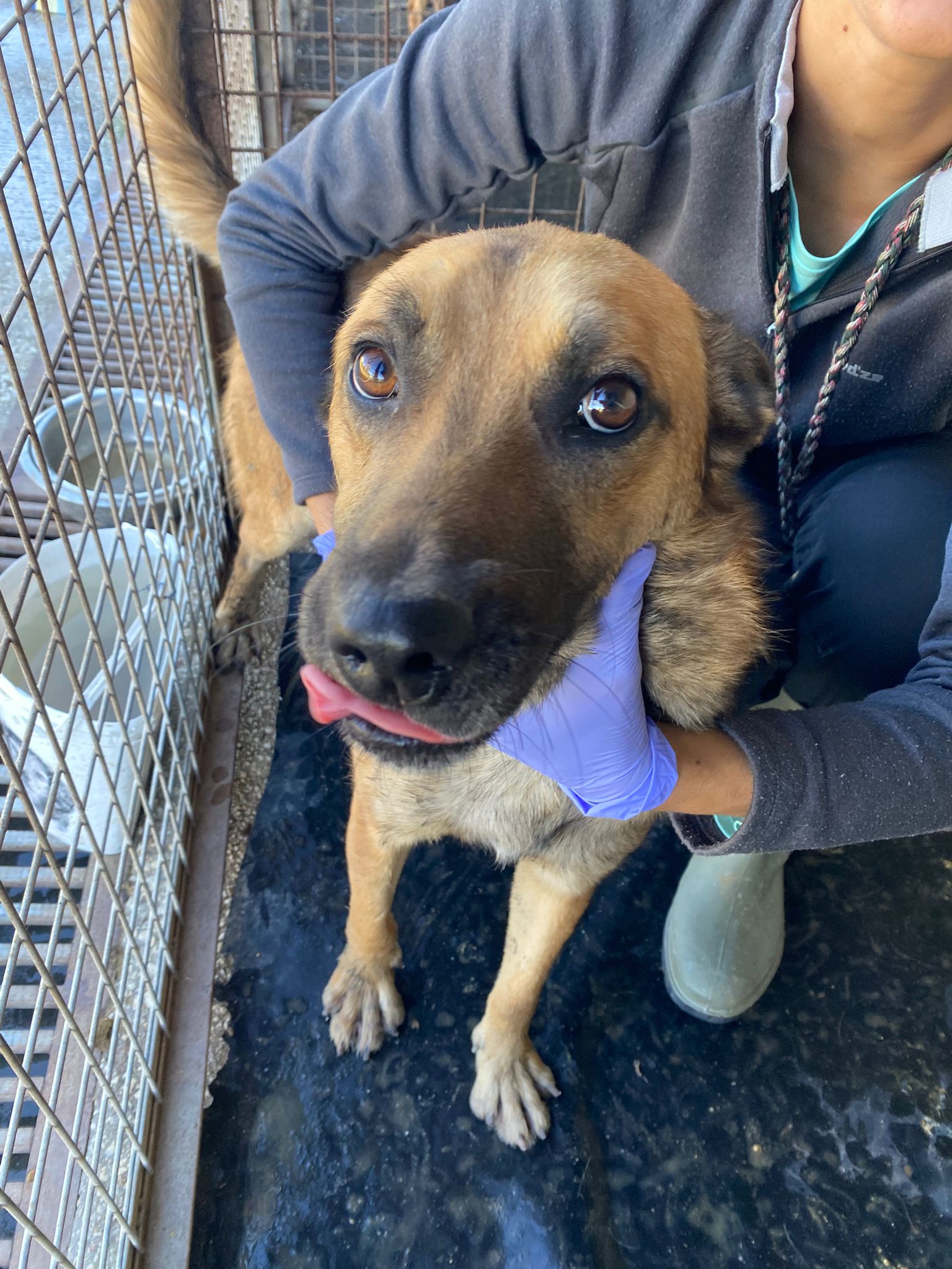 PHOTO-2025-11-21-15-30-20