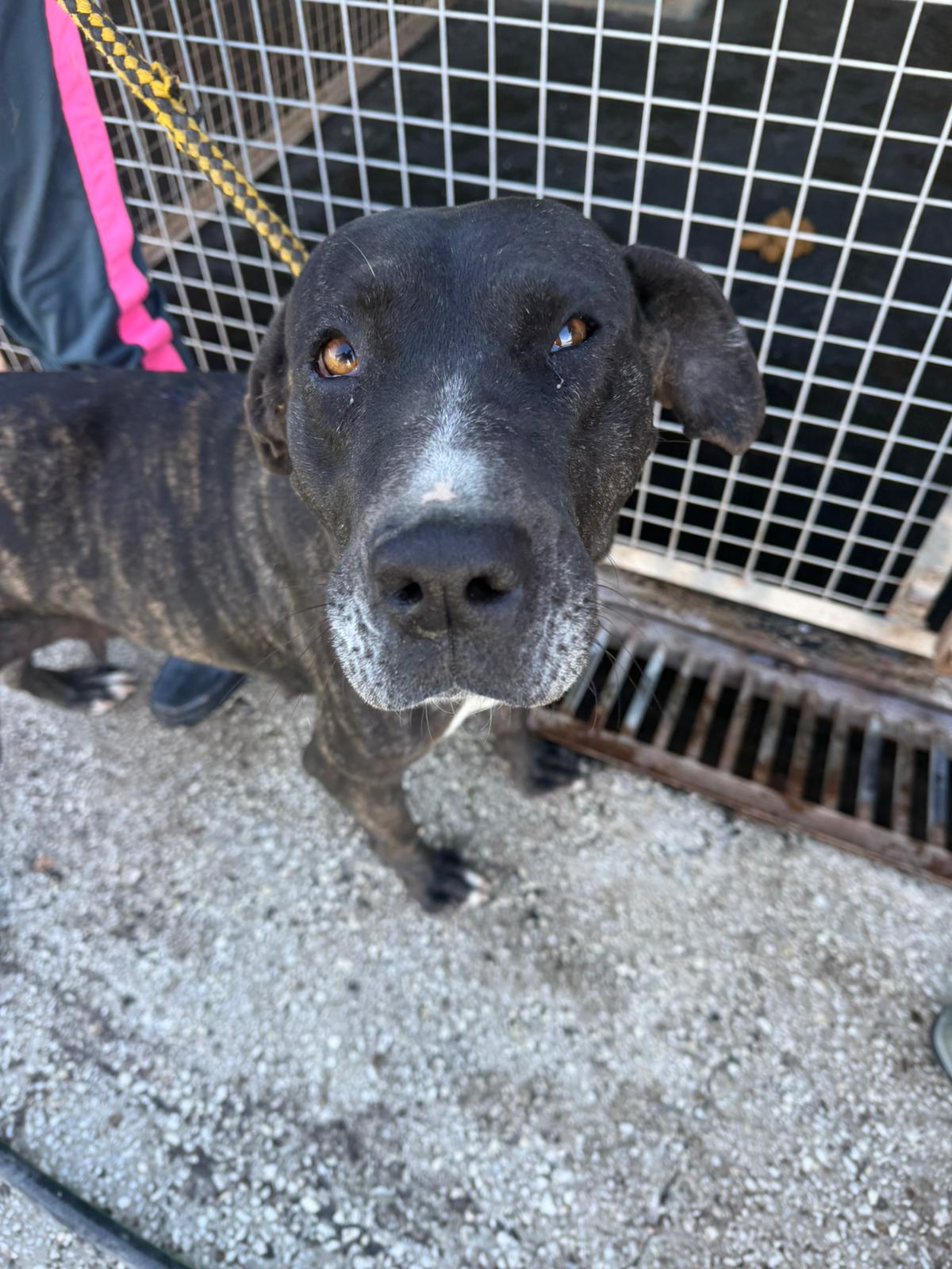 PHOTO-2026-01-17-13-34-14