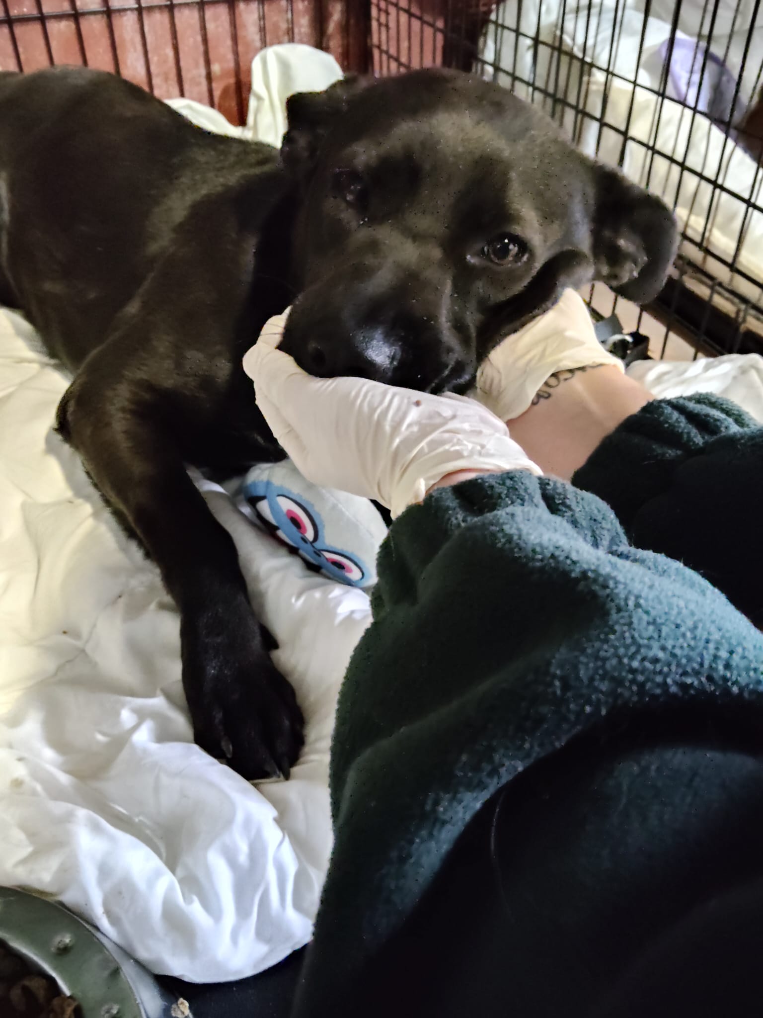 PHOTO-2026-01-18-13-04-48