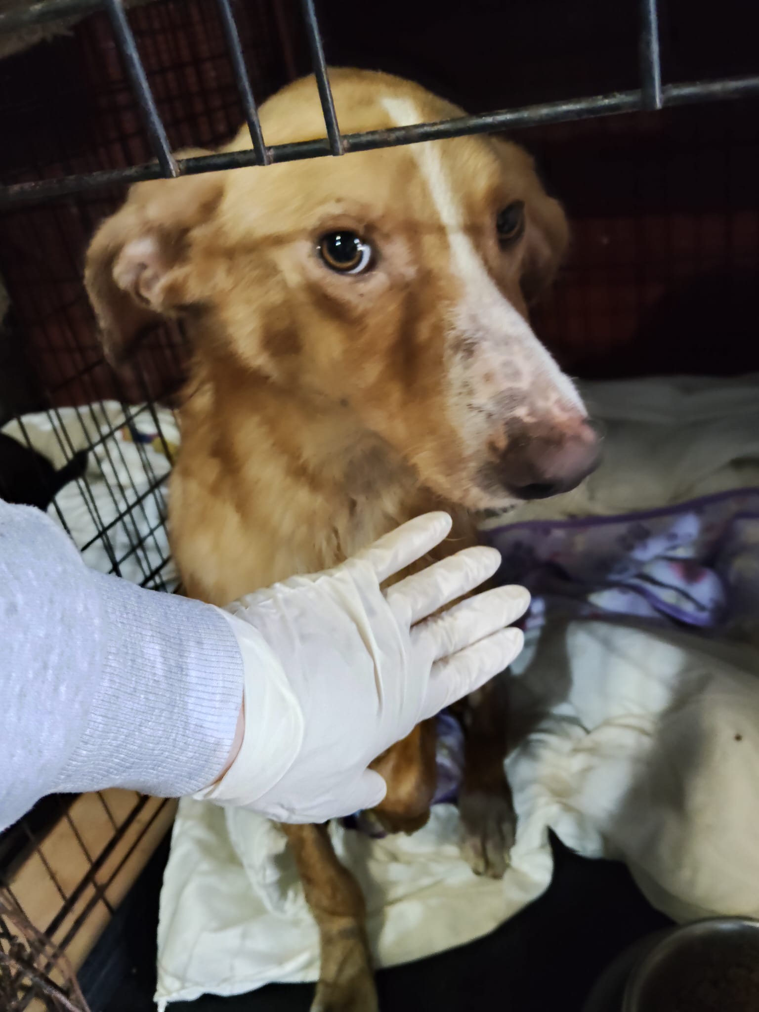 PHOTO-2026-01-18-13-09-49 (1)