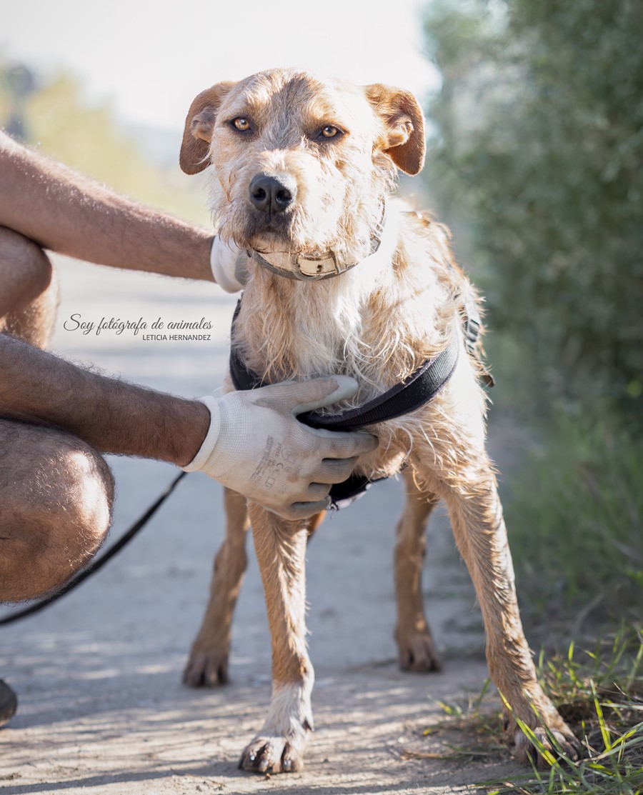 Soy fotografa de animales-7389