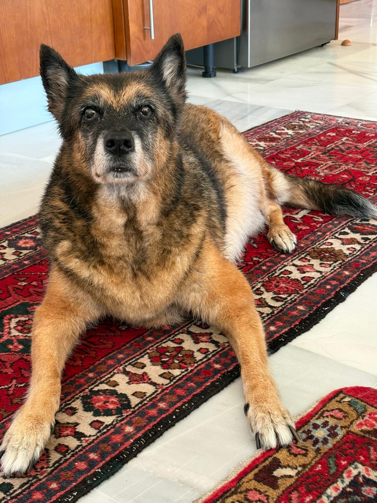 bbb3ecb9-f68b-491d-a9a1-111413df13d3