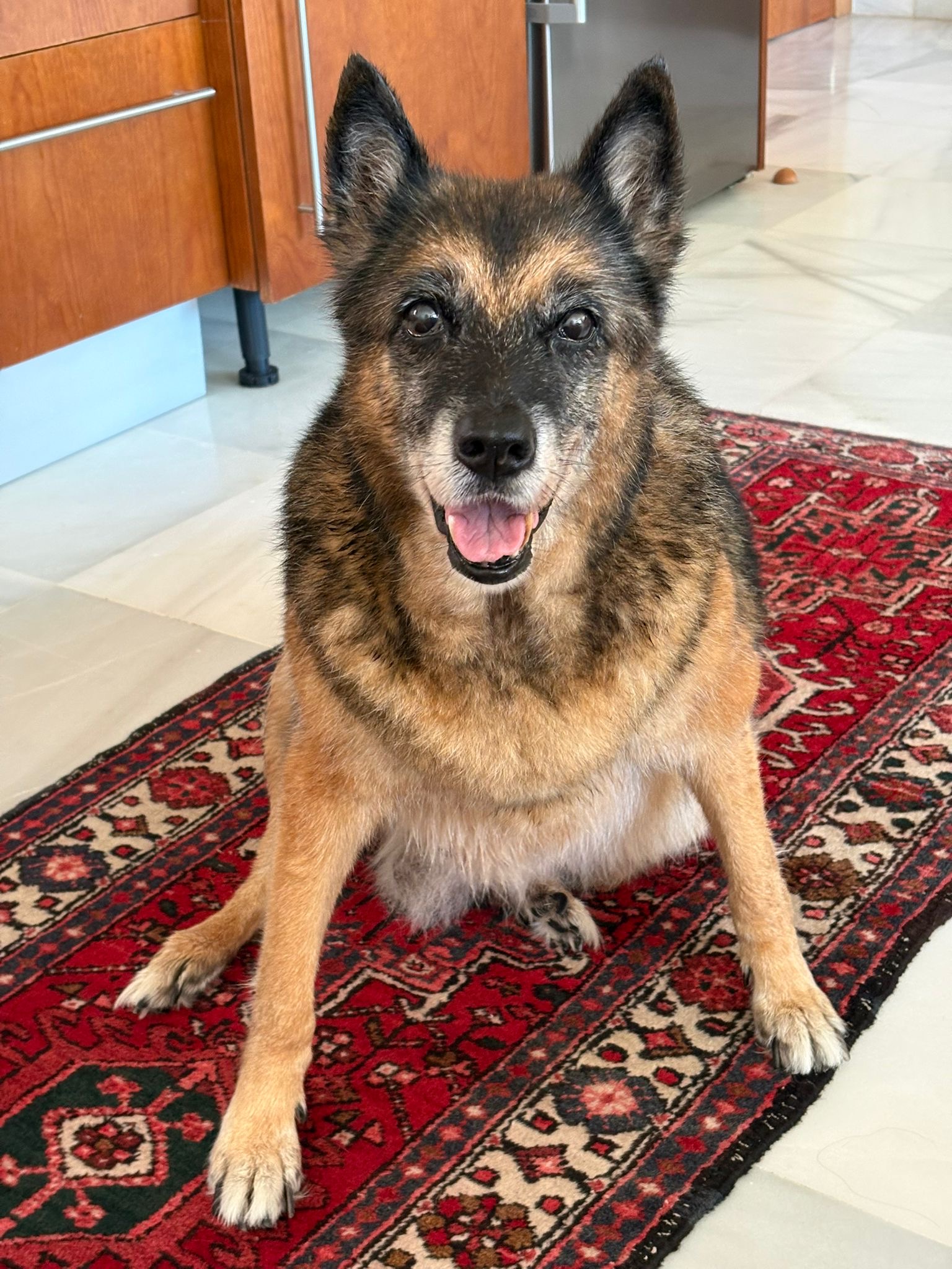 d5409d7f-1311-48ca-9bf8-df1f07938fc9