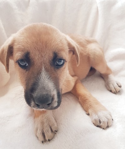 866dd5d2-6a8e-4b78-ae20-ba00e40d1b70