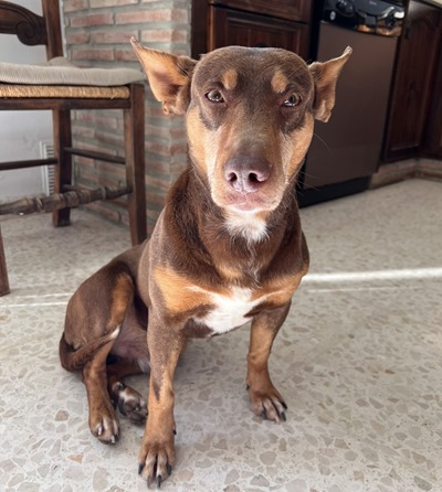 8d3e0ac4-635a-40c6-ad44-e8aee5897019