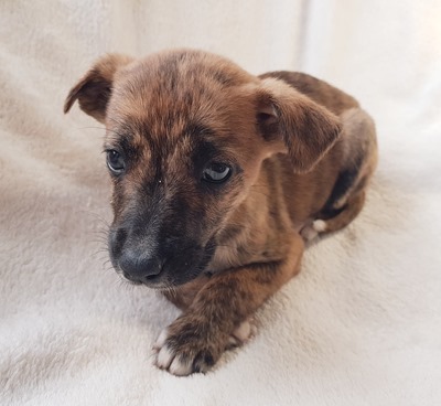 9799df43-181a-41cf-8040-ef0043b91a9a