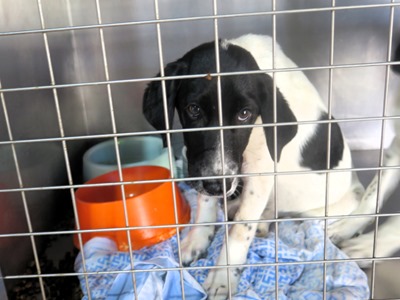 IMG_3503