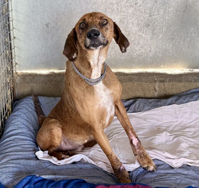 IMG_7139-compressed