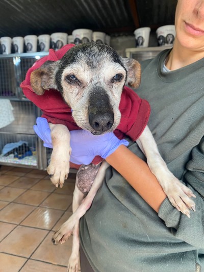 PHOTO-2025-12-02-13-10-36