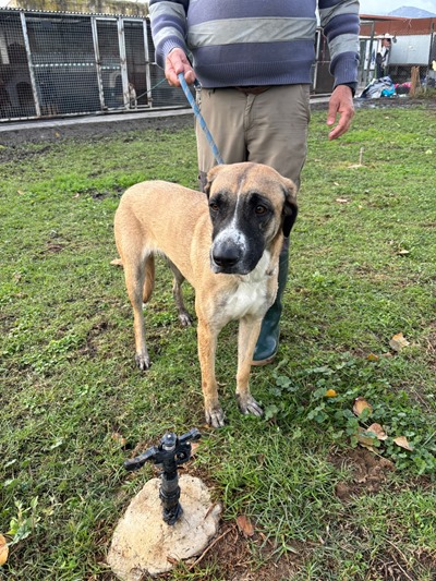 PHOTO-2025-12-04-11-20-52 (1)