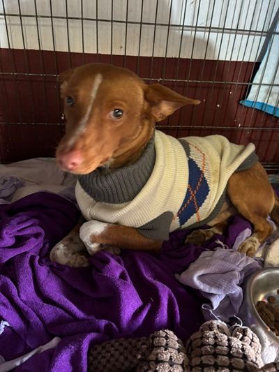 PHOTO-2025-12-04-12-57-23 (1)