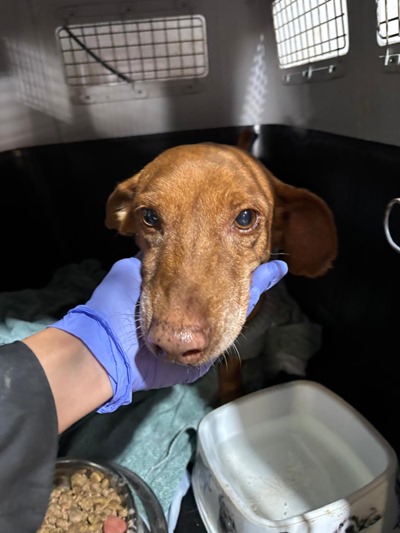 PHOTO-2025-12-04-12-58-57 (1)