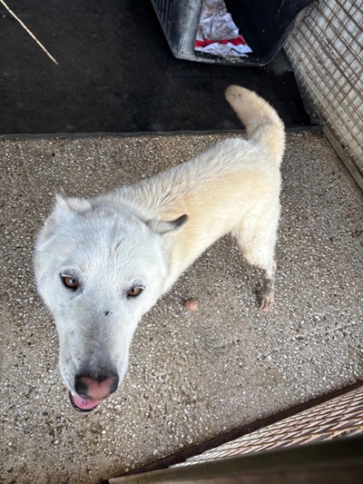 PHOTO-2026-01-26-12-11-11