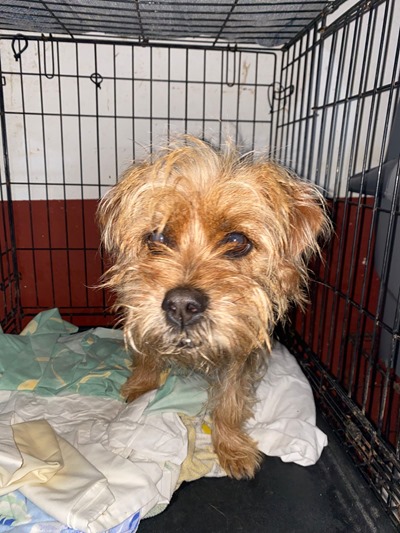 PHOTO-2026-03-05-09-32-52 (1)