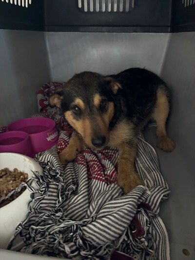 PHOTO-2026-04-20-15-10-20 (1)