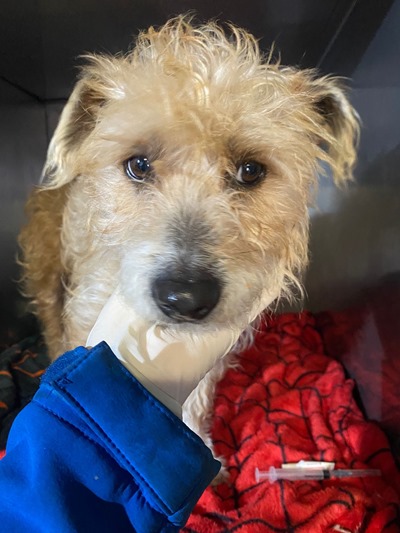 b270d7b0-46ef-443d-a3e8-8aa9bb7dc89f (1)