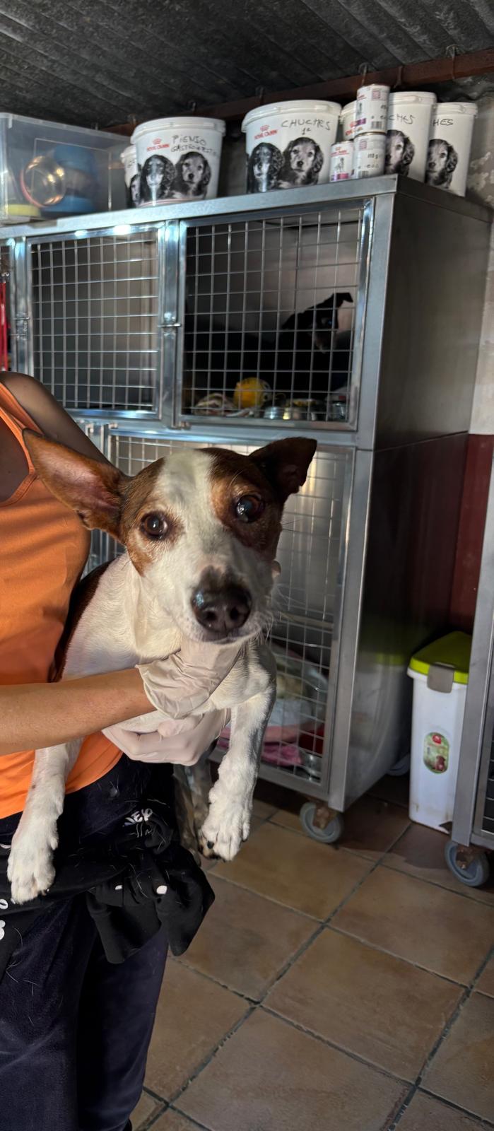 PHOTO-2026-04-14-14-59-51