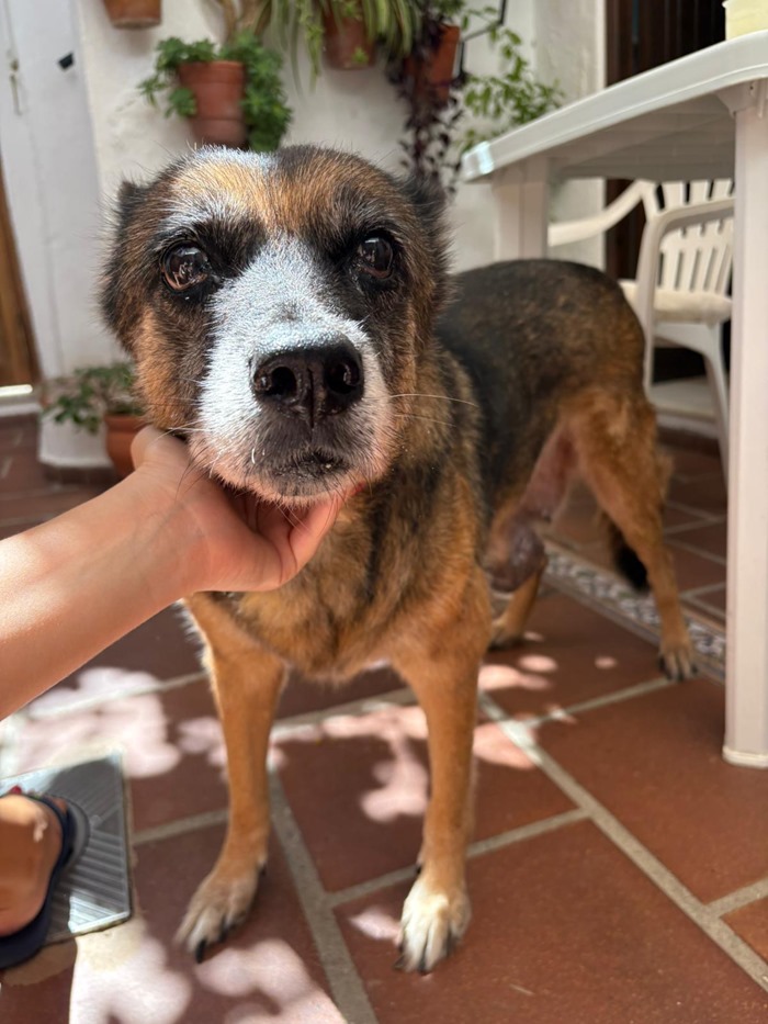 0cc1016f-f66d-44f0-9571-27257dedc8de