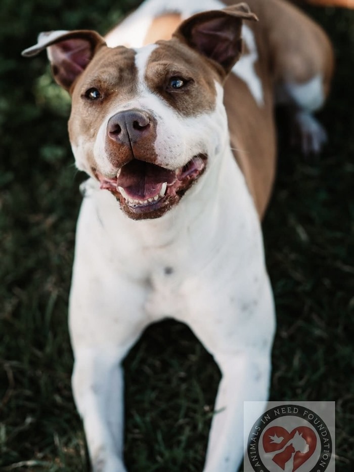 147ab6d8-b455-43d7-a04f-71bbdd1ef62e