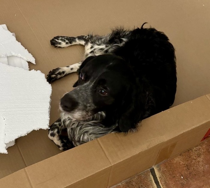 1cd91c70-94e9-444b-a0bd-565b88053aec