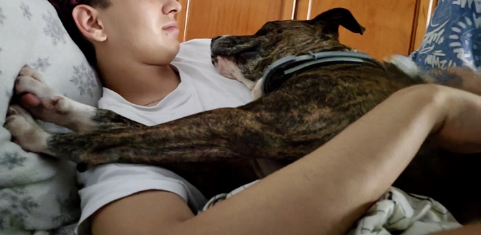 1eafc927-2c47-477b-846f-ba79b219b2e1