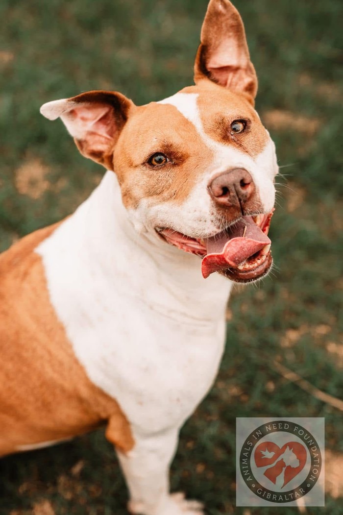 24f29c5c-20b6-4155-97a5-db80b900161f