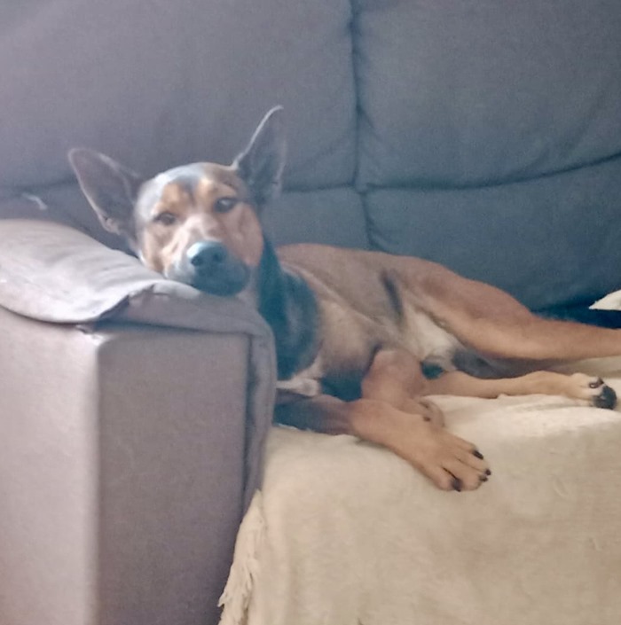 25eec0b5-60f8-420b-bc24-043202717d99