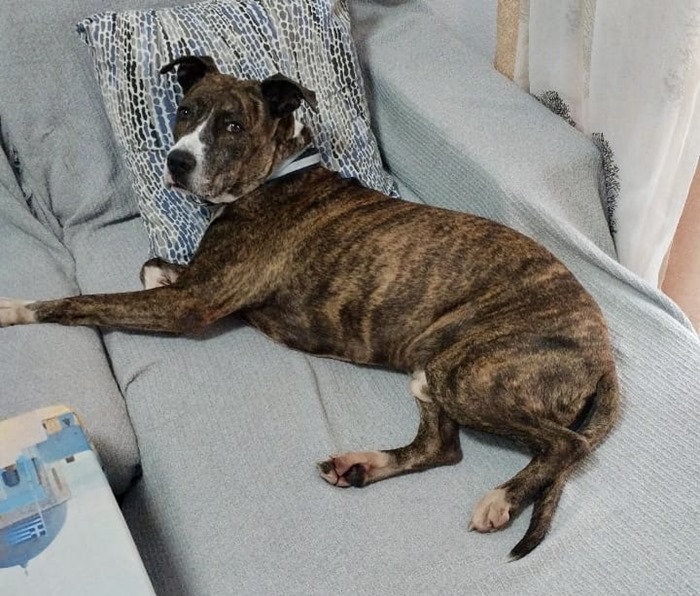 3b2d27e9-54ae-4e9c-b22a-9a9e6cb86947