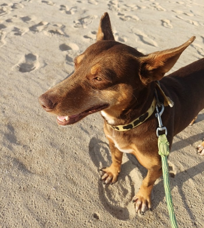 3c632c42-9648-4f4f-b256-62a0c3cbda99