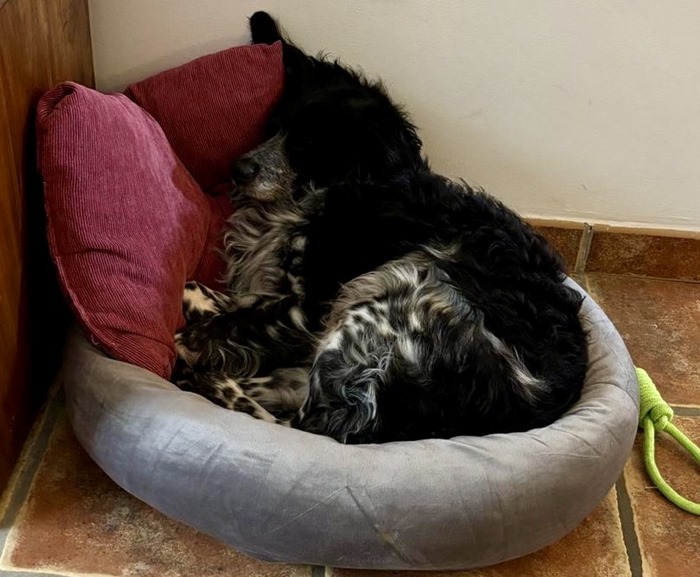 413f8432-36c8-460e-89d2-dd03df70c6af