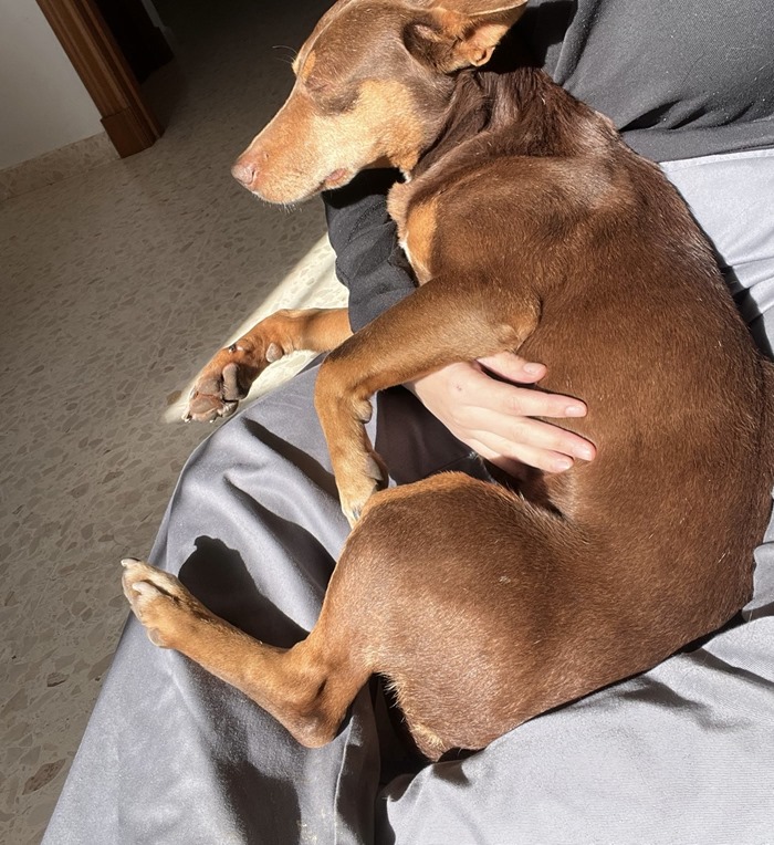 4148e7af-4203-4bcc-a025-11e55f293e9b