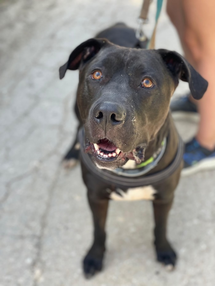 42ee83da-e924-4f89-87db-0b7b44b4eb7c