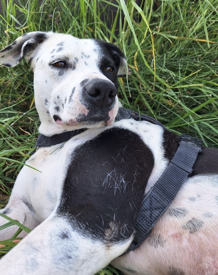 43a5f6f7-5f26-42d4-90c6-f58c912fb8bb