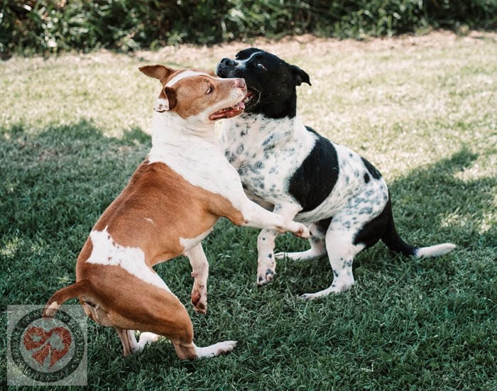 4f731b67-b903-444a-89a3-7d4b6f82ad3c