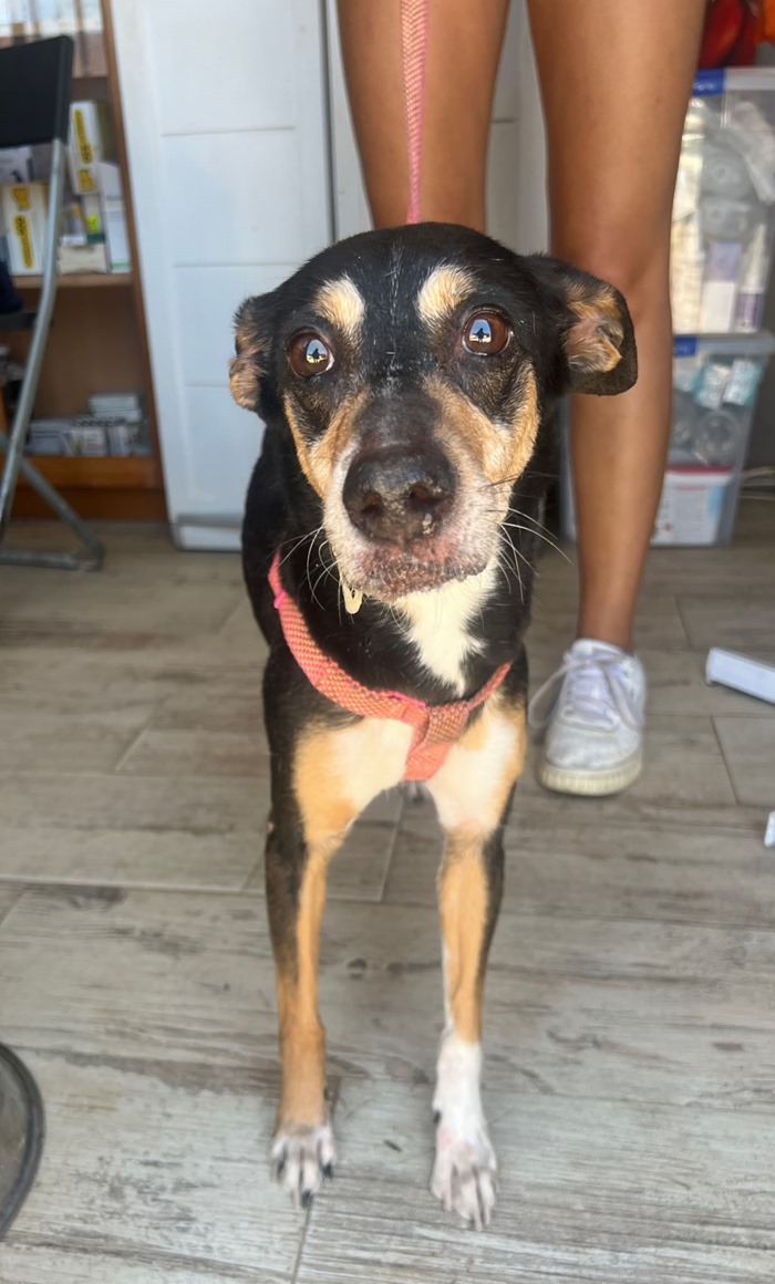 55a51b93-b01e-486f-b966-29cc8020d97a (1)