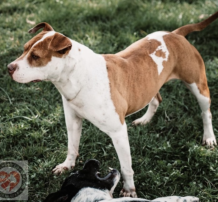 55e0b811-223b-4c81-a8dd-dc7bdf6a2e95