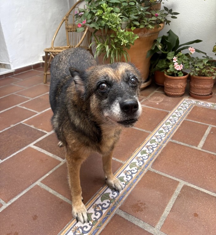 6198f1d2-4ee4-4c90-a903-3fb19a151c07