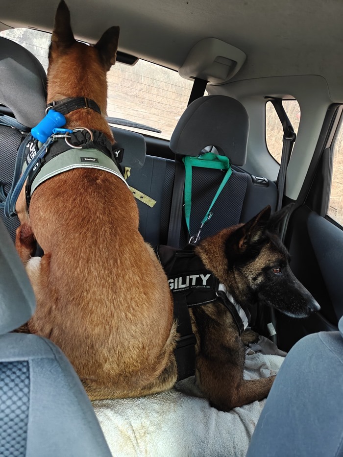 620c322d-335b-43b5-9949-75e1c05db732