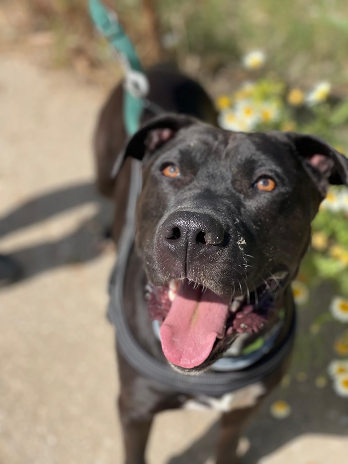 65038ec5-07ad-426f-a6bc-cbeffb884c9c