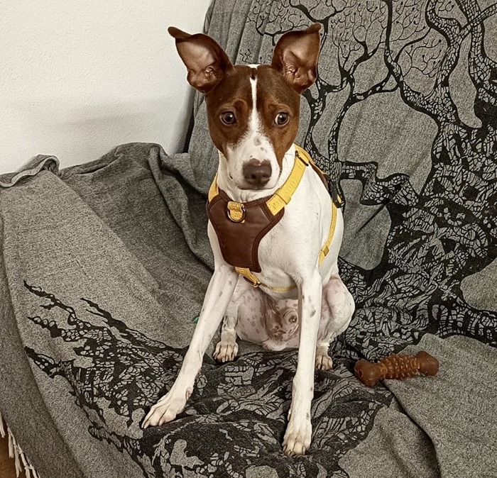 6b99f139-4d5e-4ef9-ab50-45677dc87eea