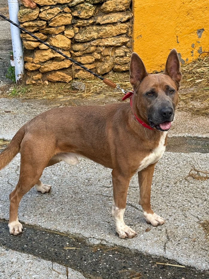 7612b9f4-fc19-488f-948a-d6a60e4518be