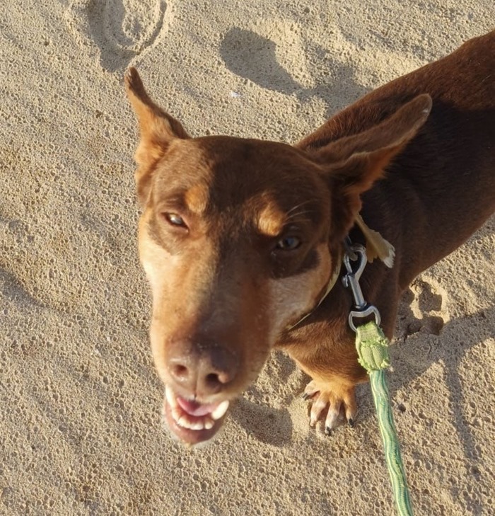 7775e933-8e50-47a5-8144-4cd99fc46c0f