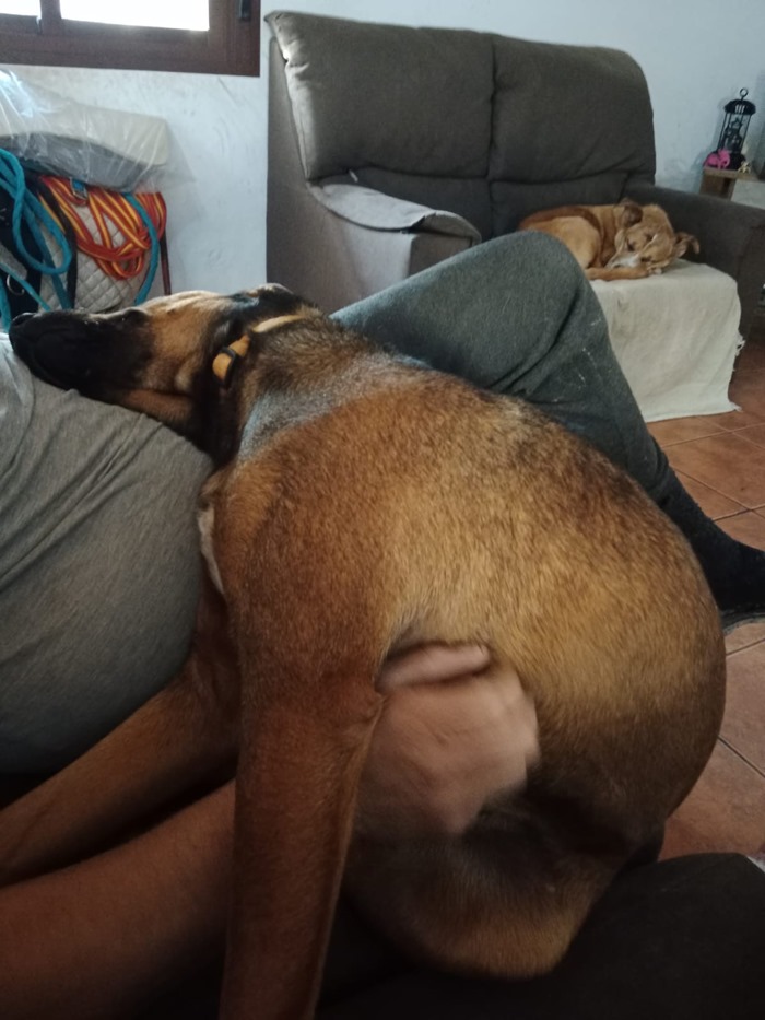 7c3e7b02-7d37-4bc8-b930-06aaefc672ec