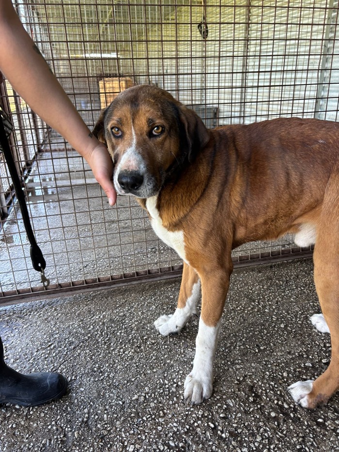 7f3ab8a1-786e-420e-befb-4a01d3b6f55d (1)